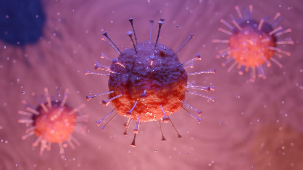 Primer cas de coronavirus al Baix Empordà