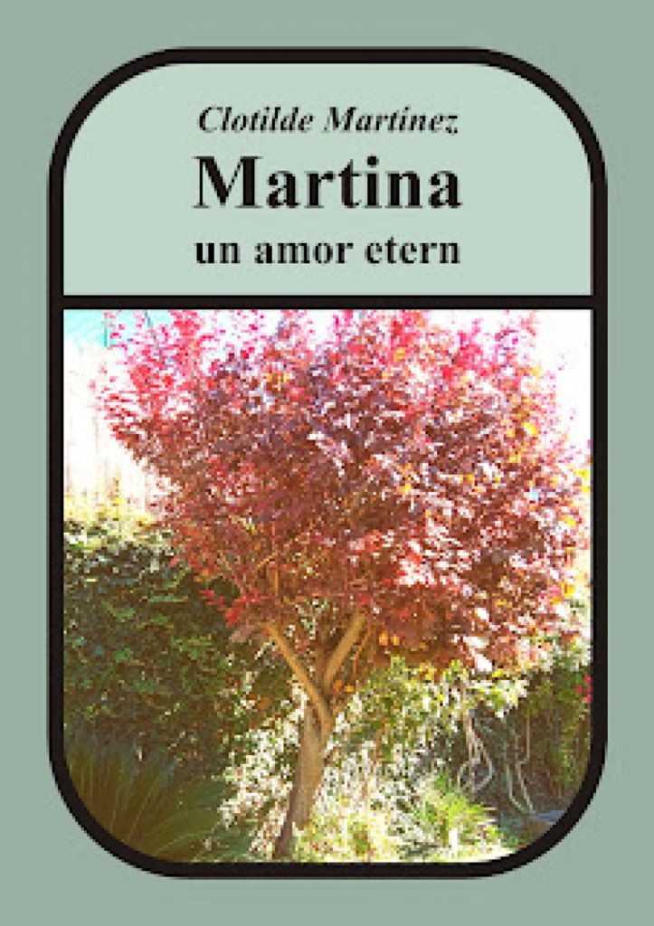 'Martina, un amor etern' de Clotilde Fernández