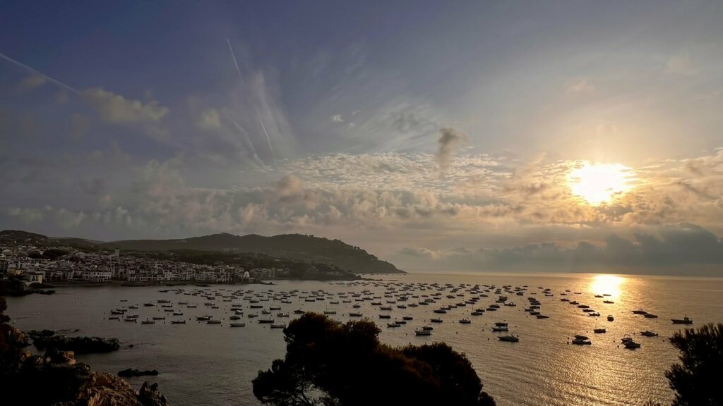 Calella de Palafrugell (31-08-2024)