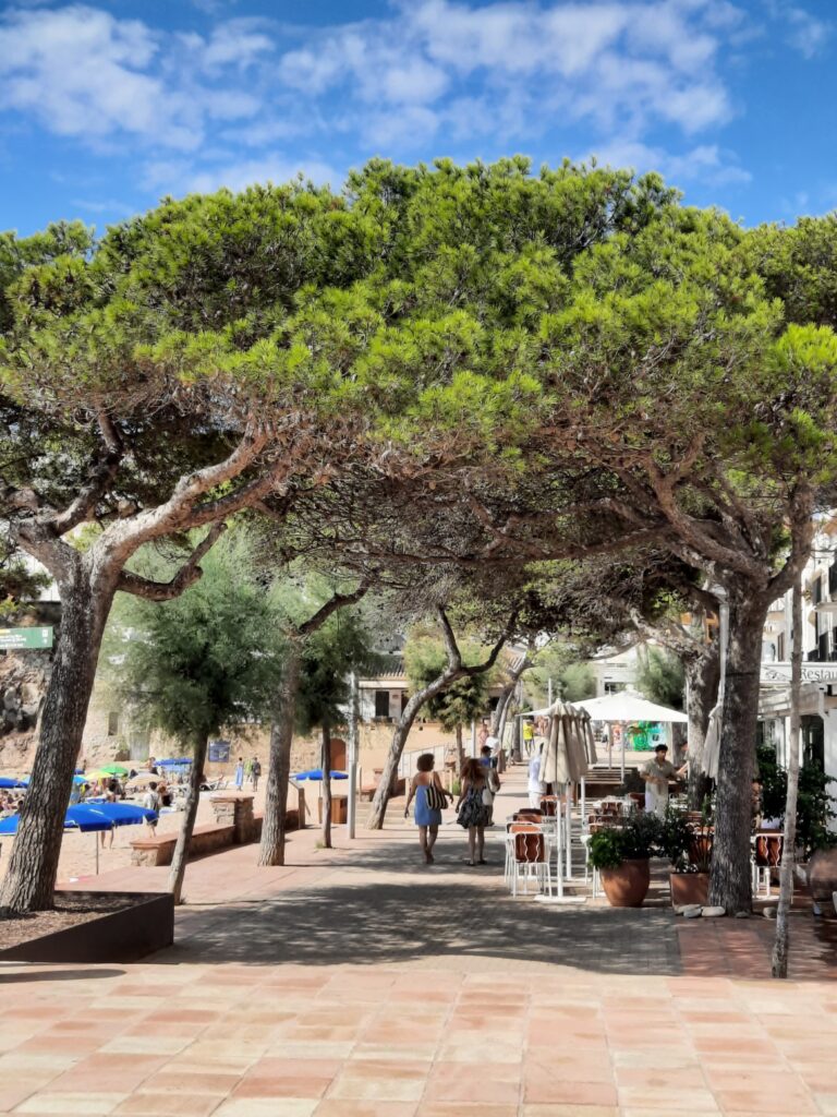 Passeig de Llafranc