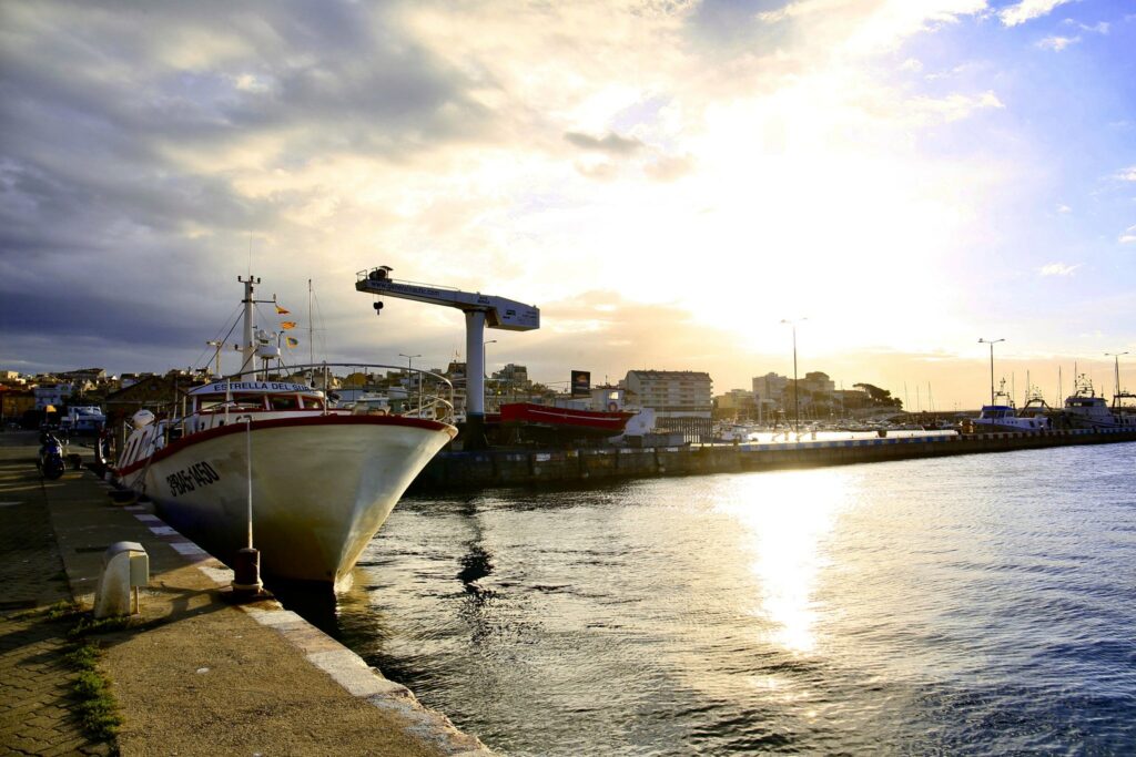 Palamós (22-11-2024)