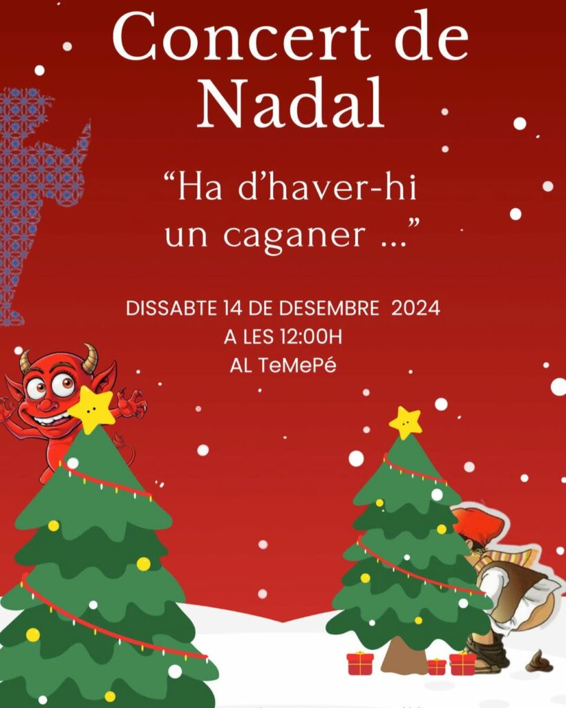 Concert de Nadal de l'Escola de Música 2024