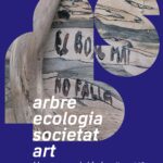 Arbre, ecologia, societat, art al Museu del Suro