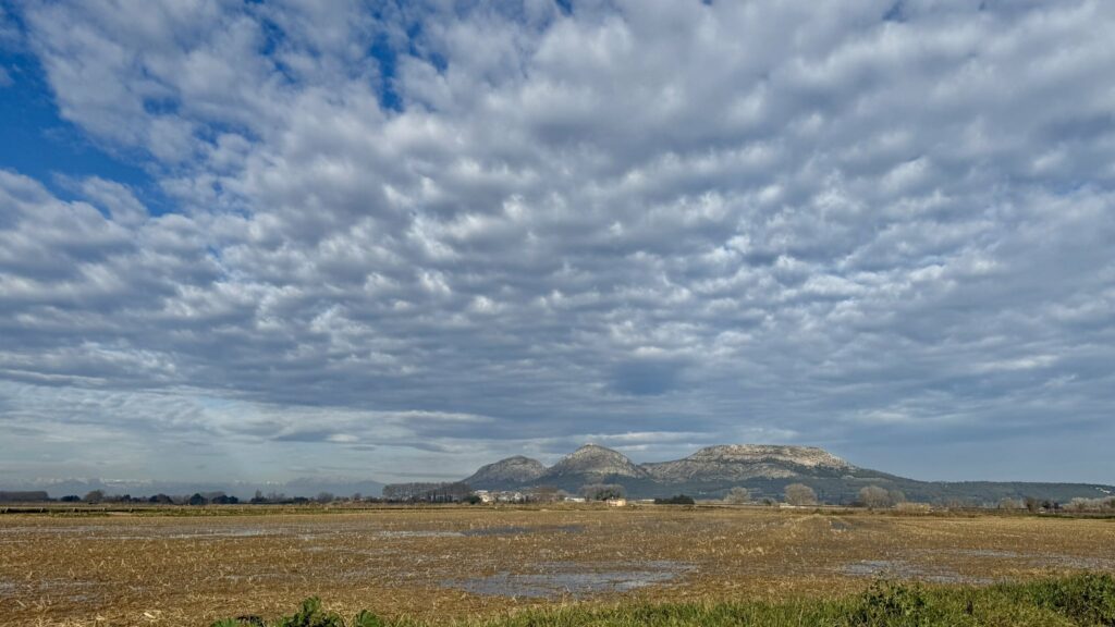 Torroella de Montgrí (20-01-2025)