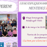 Cartell original del Mapping
