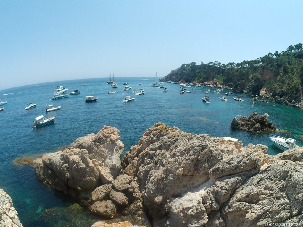 SOS Costa Brava denuncia el fondeig d'embarcacions sobre posidònia al Golfet