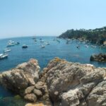 SOS Costa Brava denuncia el fondeig d'embarcacions sobre posidònia al Golfet
