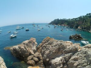 SOS Costa Brava denuncia el fondeig d'embarcacions sobre posidònia al Golfet