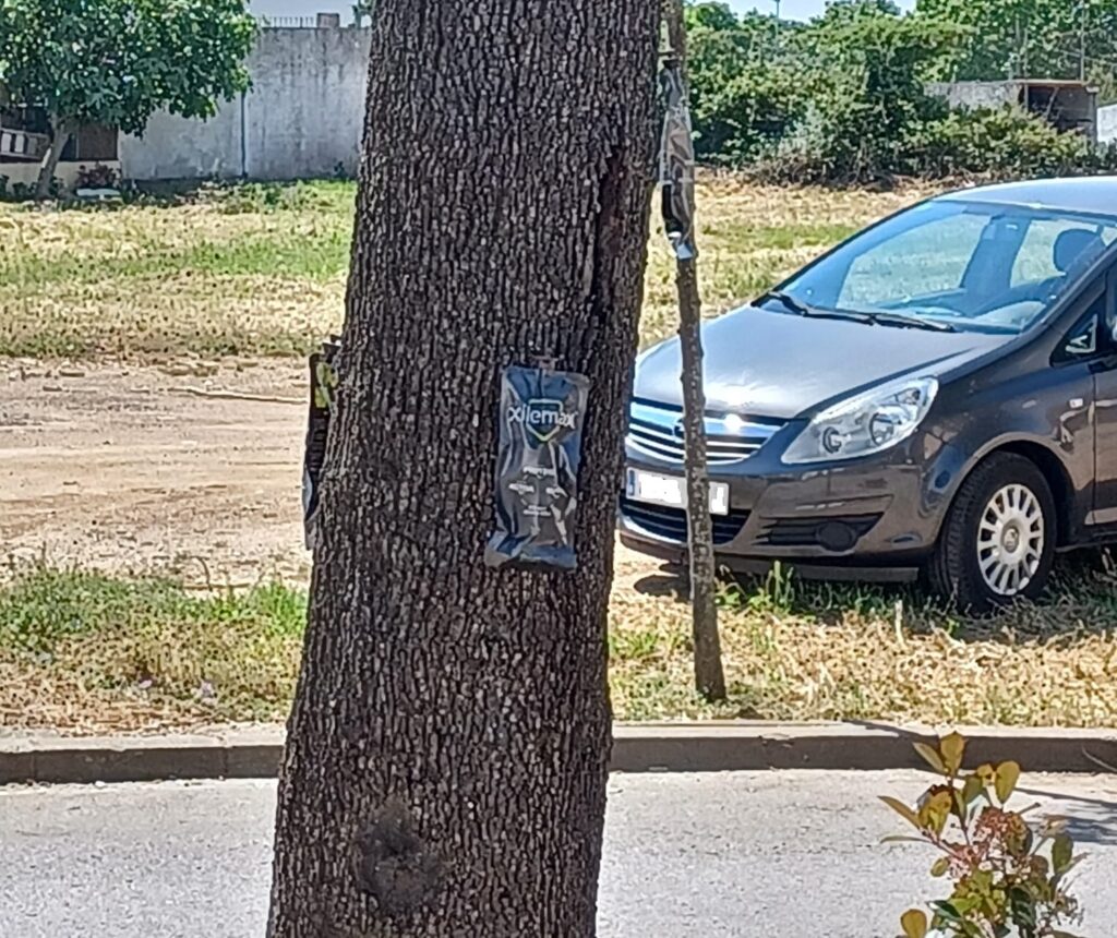 Tractament de la galeruca