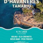 Cartell de la Cantada d'havaneres de Tamariu