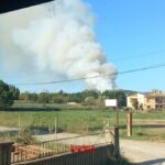 Incendi forestal a Mont-ras