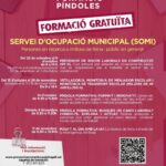 Formació del SOMI de la tardor