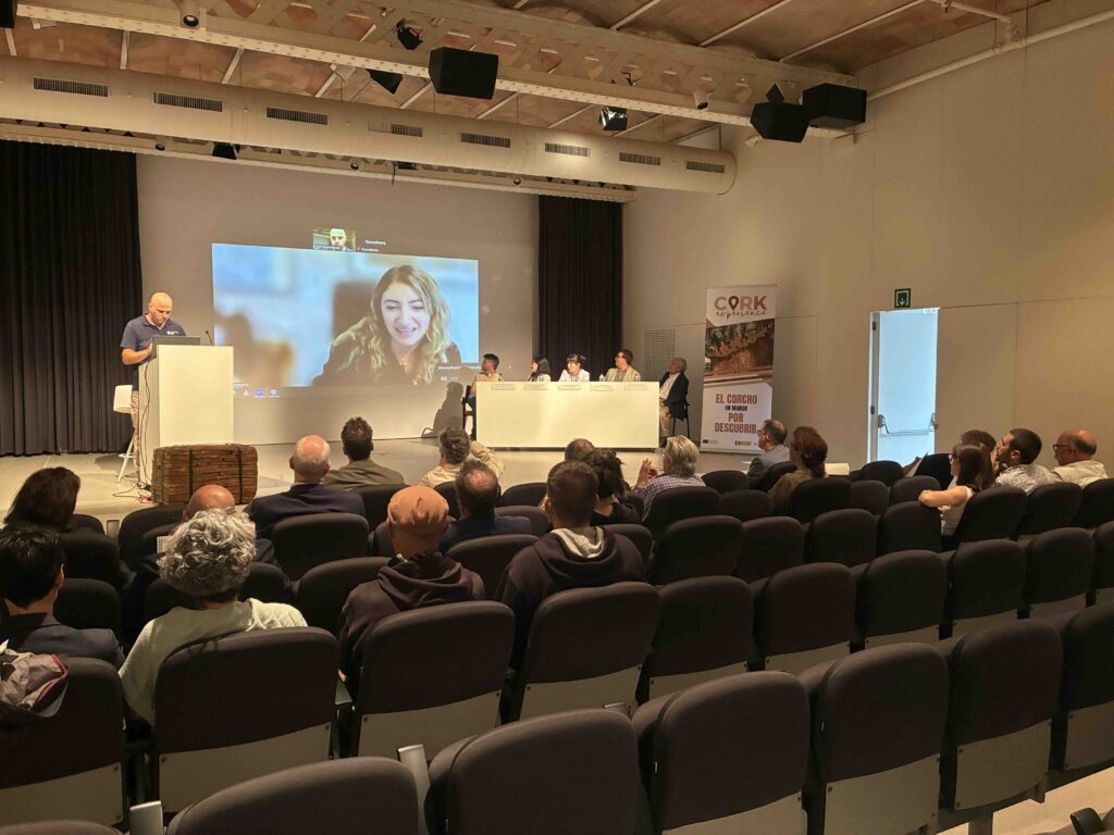 Acte de cloenda de Cork Experience