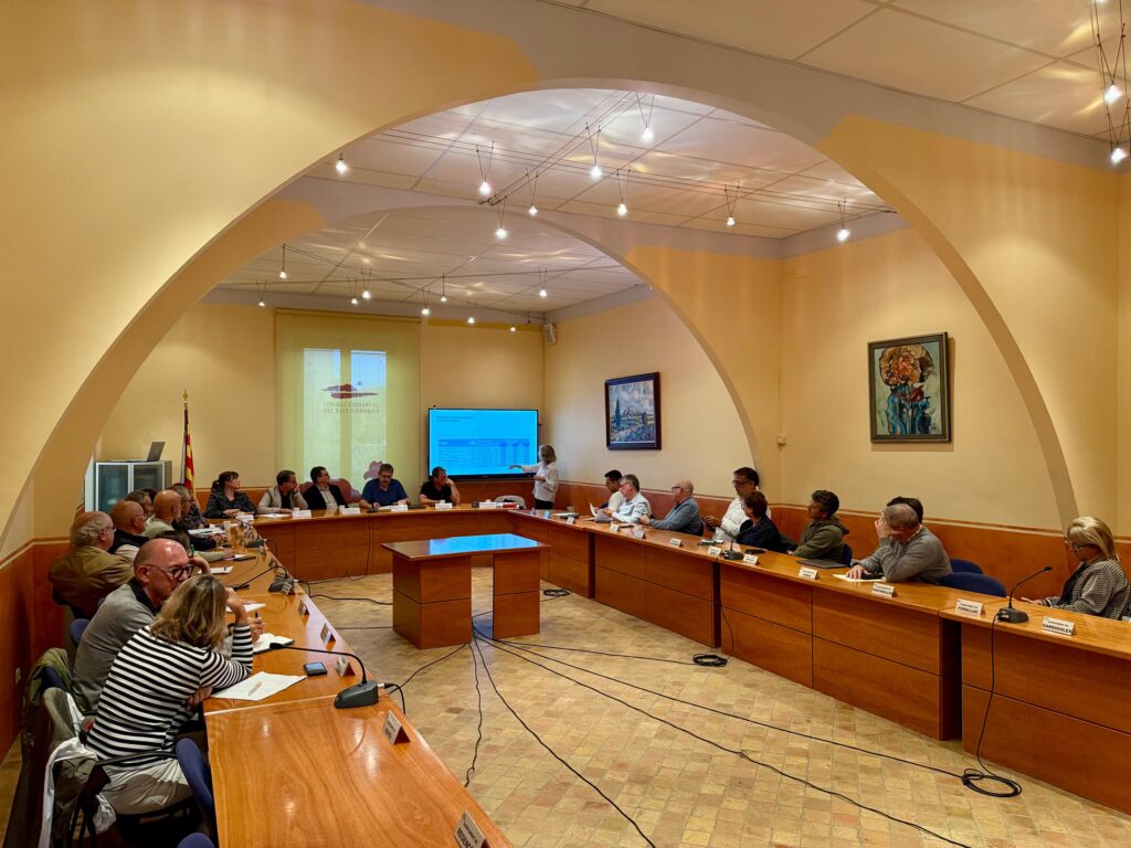 Consell d'alcaldies sobre el transport públic