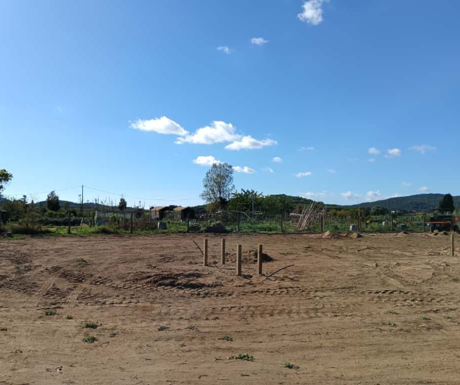 Ampliació dels horts comunitaris de les Arenes