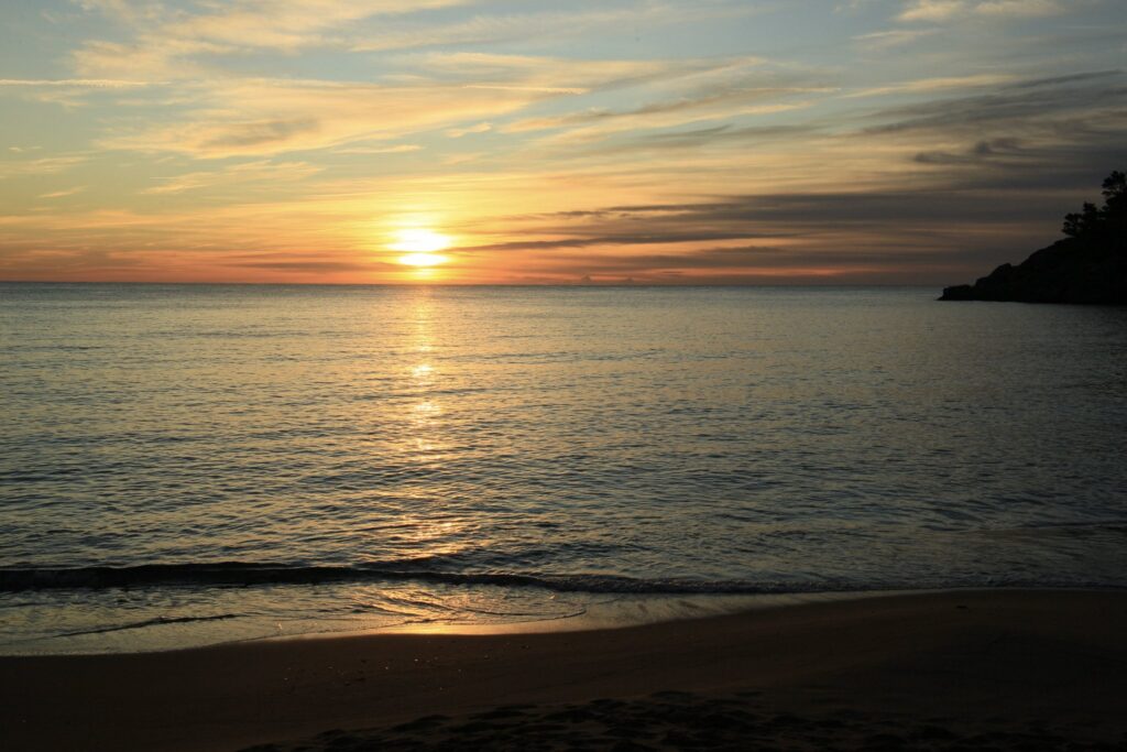 La Fosca (17-11-2025)