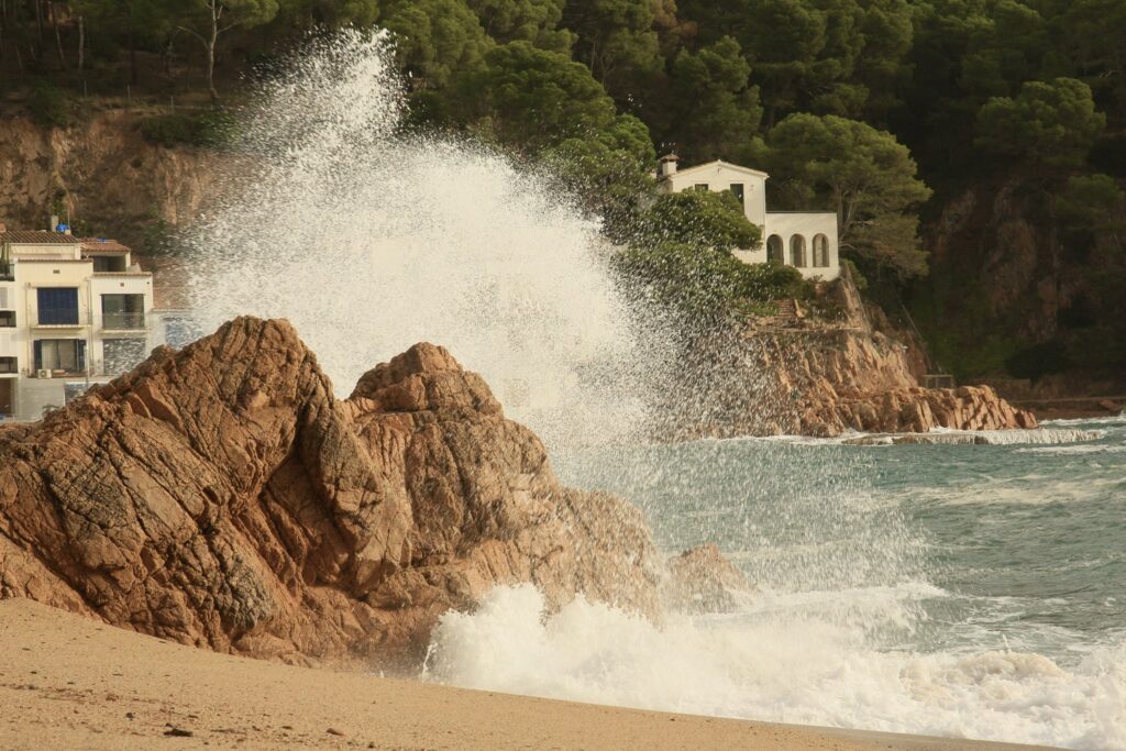 Tamariu (14-11-2025)