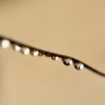 Palafrugell (22-12-2025)