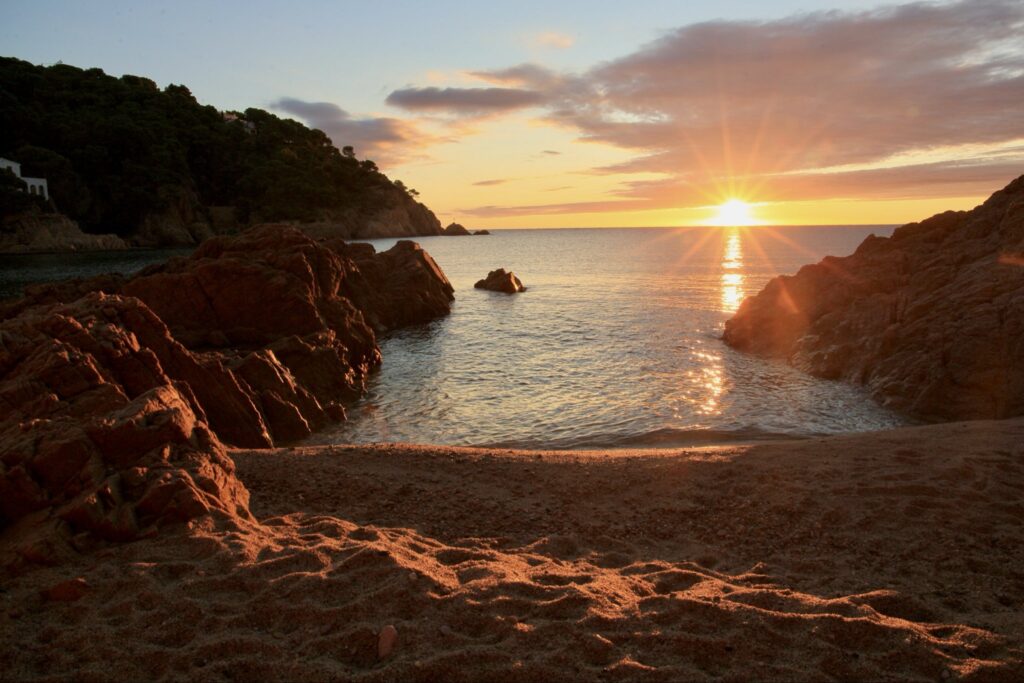 Tamariu (01-12-2025)