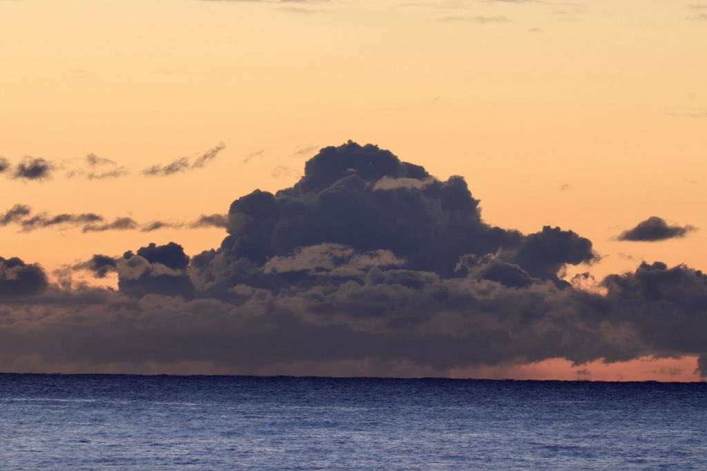 La Fosca (26-01-2026)