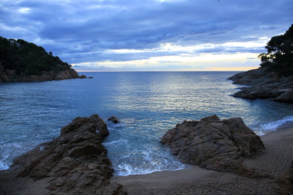 Tamariu (09-01-2026)