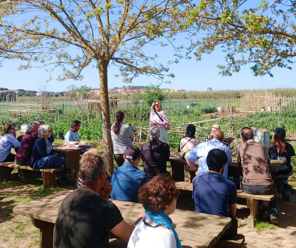 Horts comunitaris de les Arenes