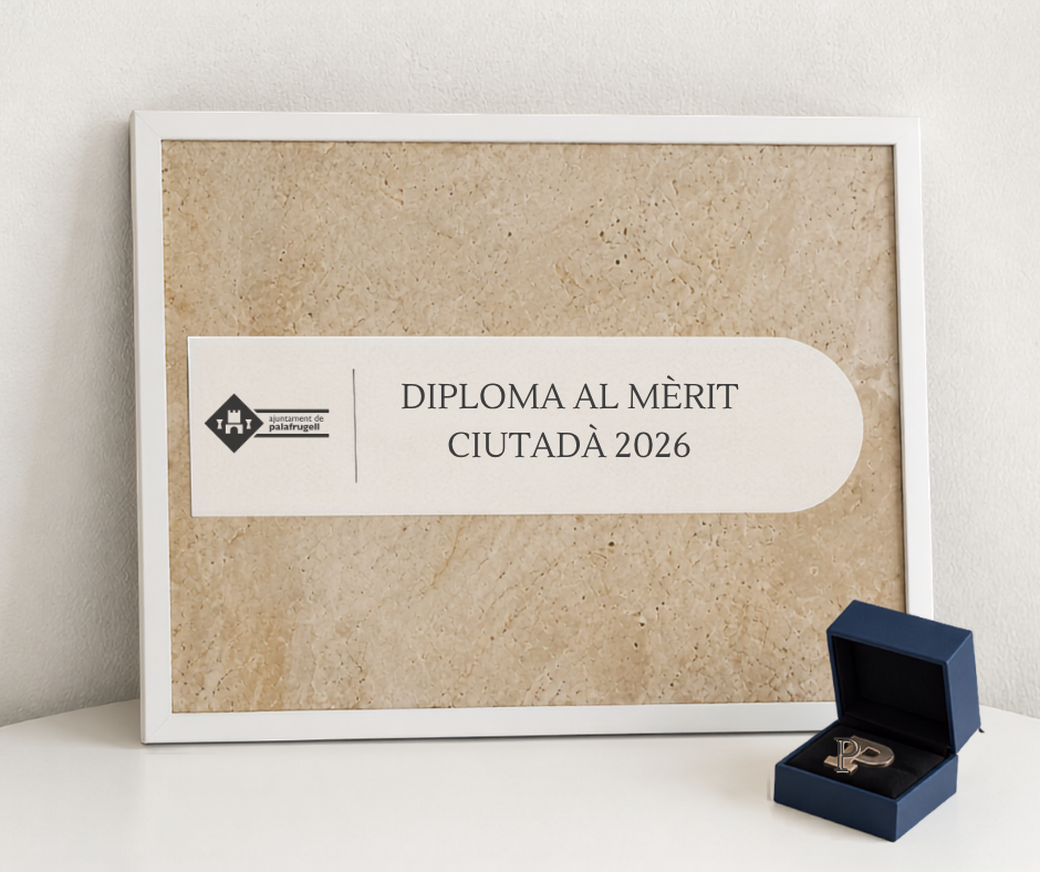 Diploma al Mèrit Ciutadà