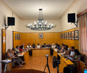 Ple ordinari del mes de juliol de Palafrugell