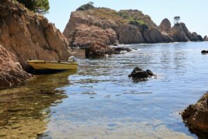 Aigua Xelida (06-07-2026)