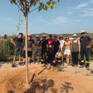 Plantació d'arbres als horts comunitaris